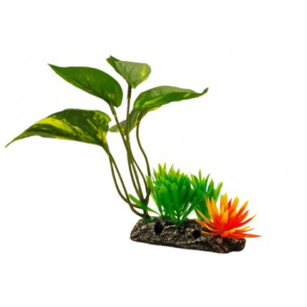 ΔΙΑΚΟΣΜΗΤΙΚΟ ΦΥΤΟ ΕΝΥΔΡΕΙΟΥ 11.5Χ19CM